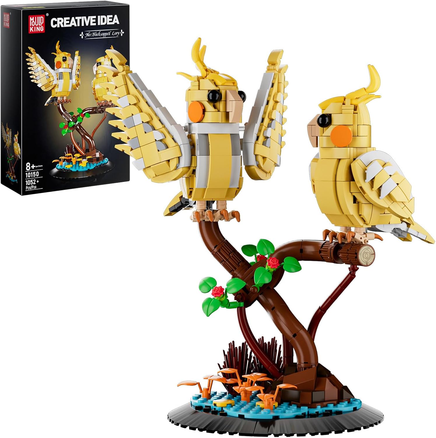 Nymphensittiche Nymphensittiche